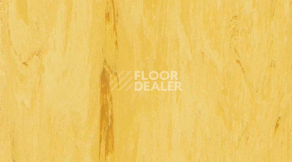 Линолеум Gerflor Classic Imperial 2mm 0109 SUN фото 1 | FLOORDEALER